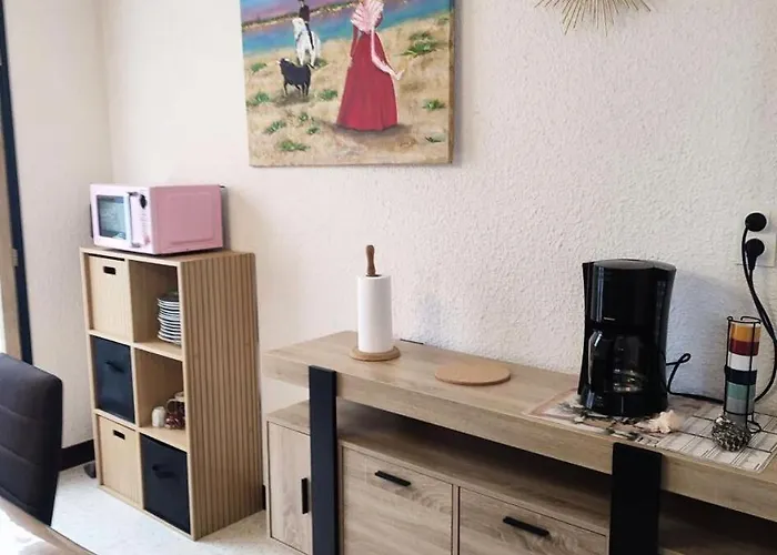 Apartamento Ccamt38-aigues Mortes - Coeur Camargue Mortes T2 Mae-5361 Aigues-Mortes